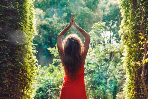 meditation around plants