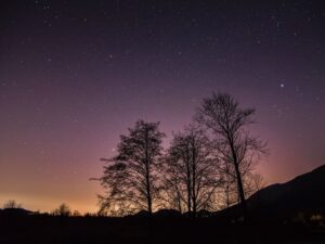 purple night