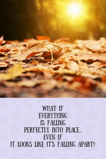 what if everything is falling perfectly into place... even if it looks like it's falling apart?