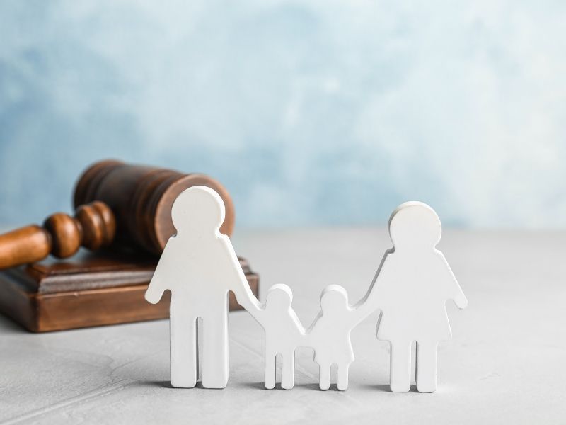 representation of child custody law